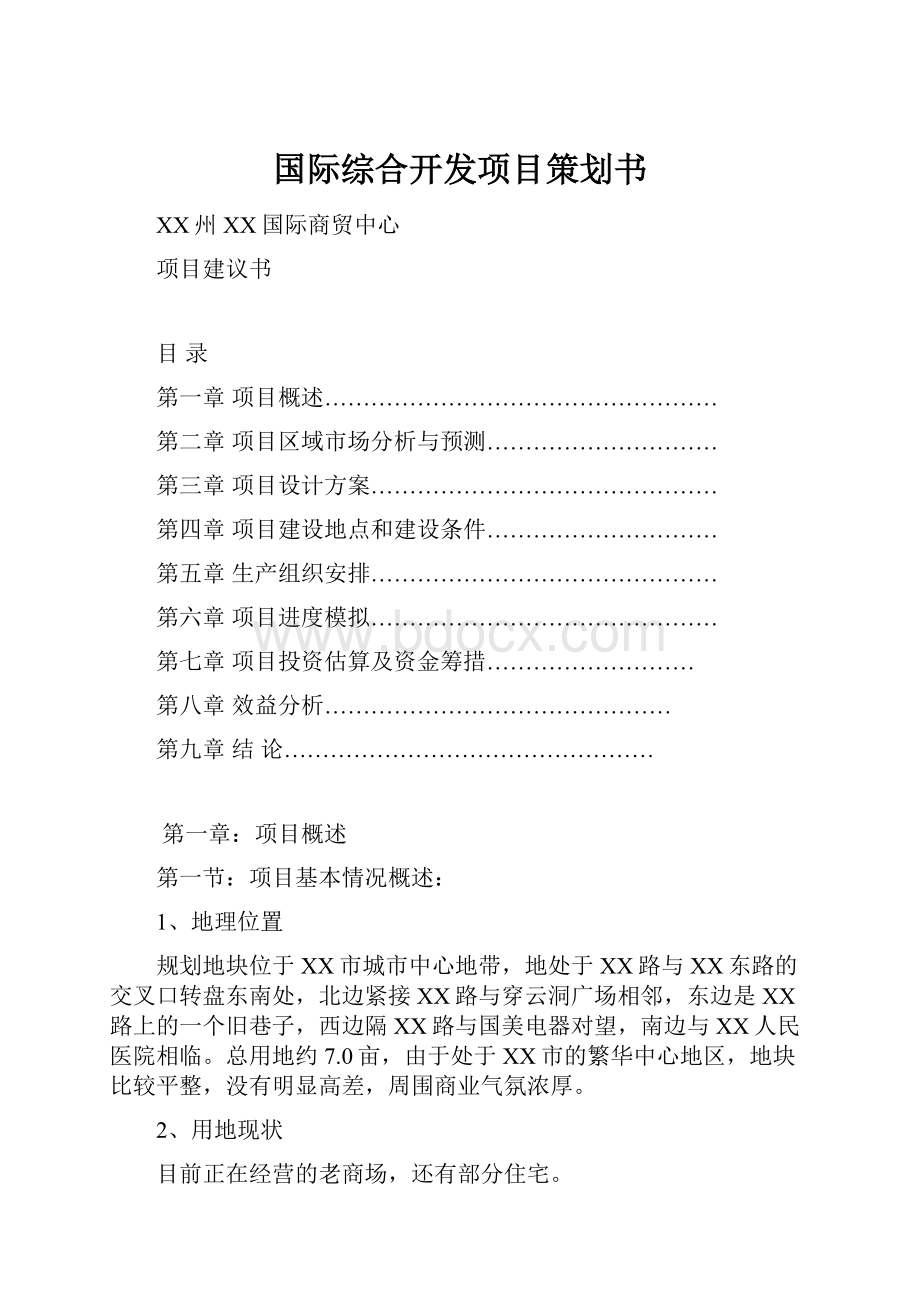 国际综合开发项目策划书.docx_第1页