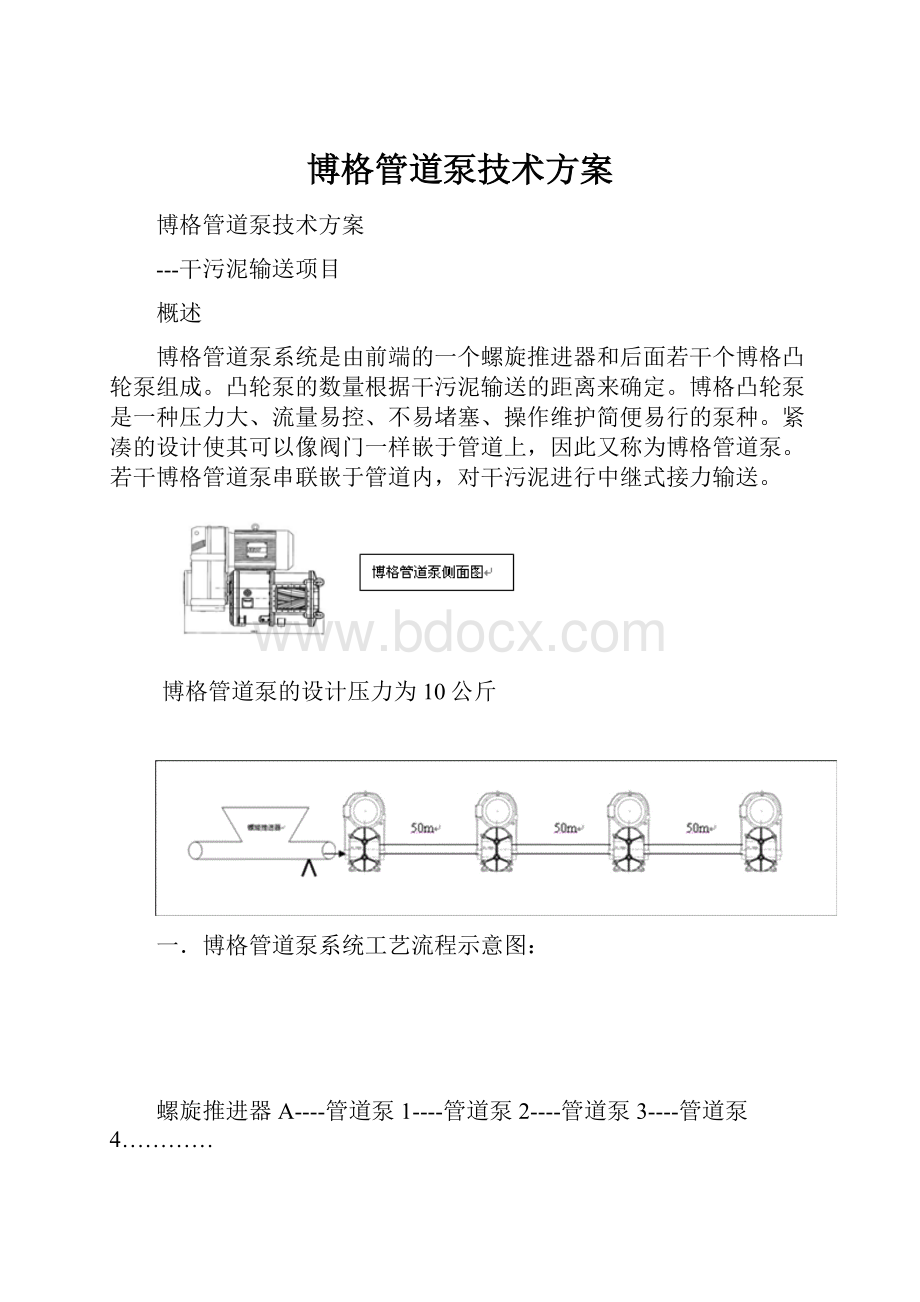 博格管道泵技术方案.docx