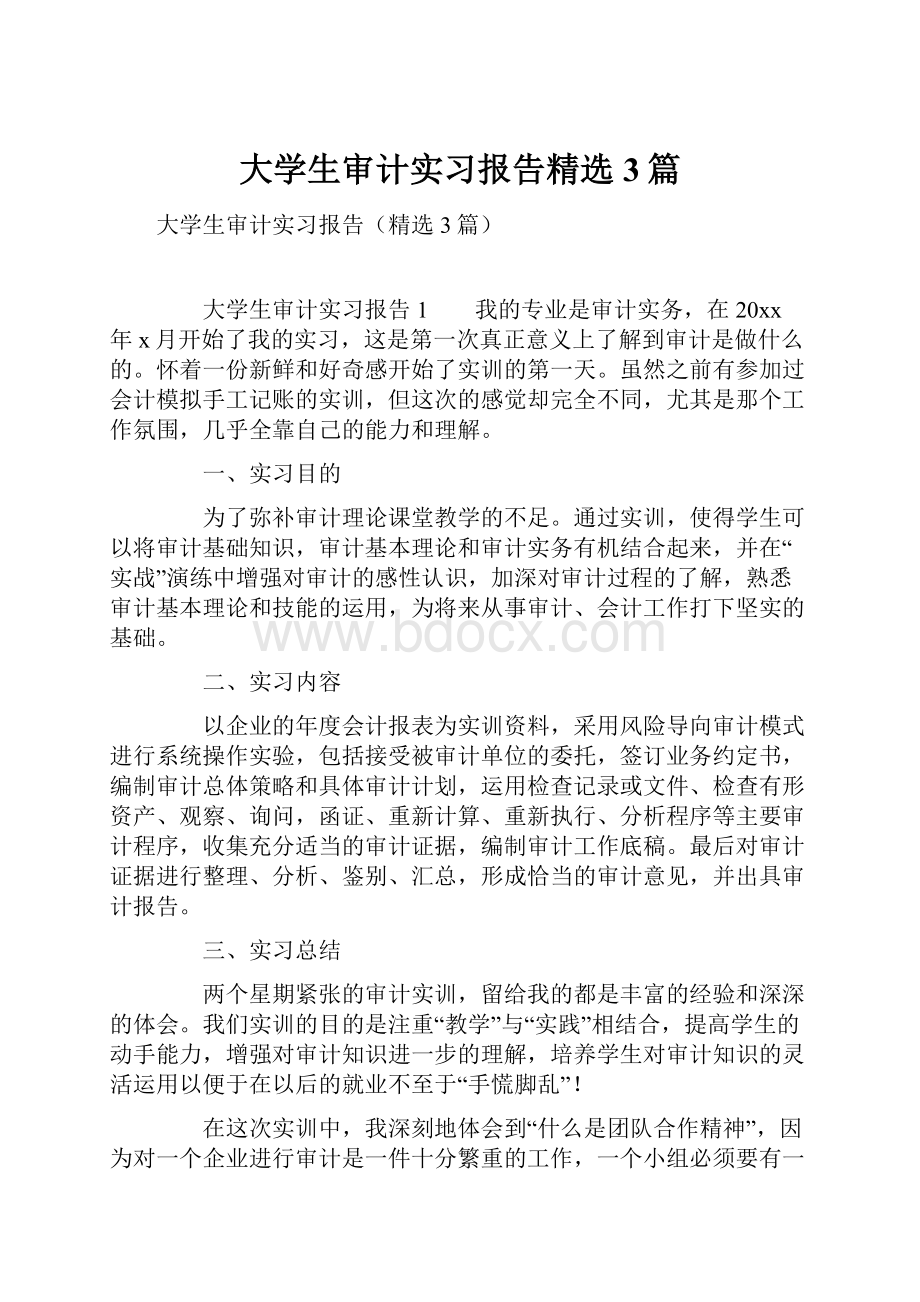 大学生审计实习报告精选3篇.docx