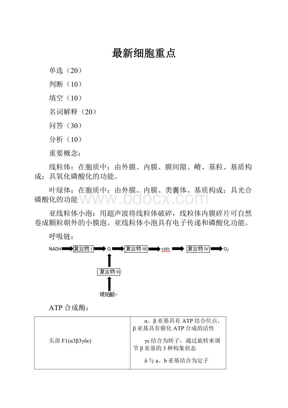 最新细胞重点.docx_第1页