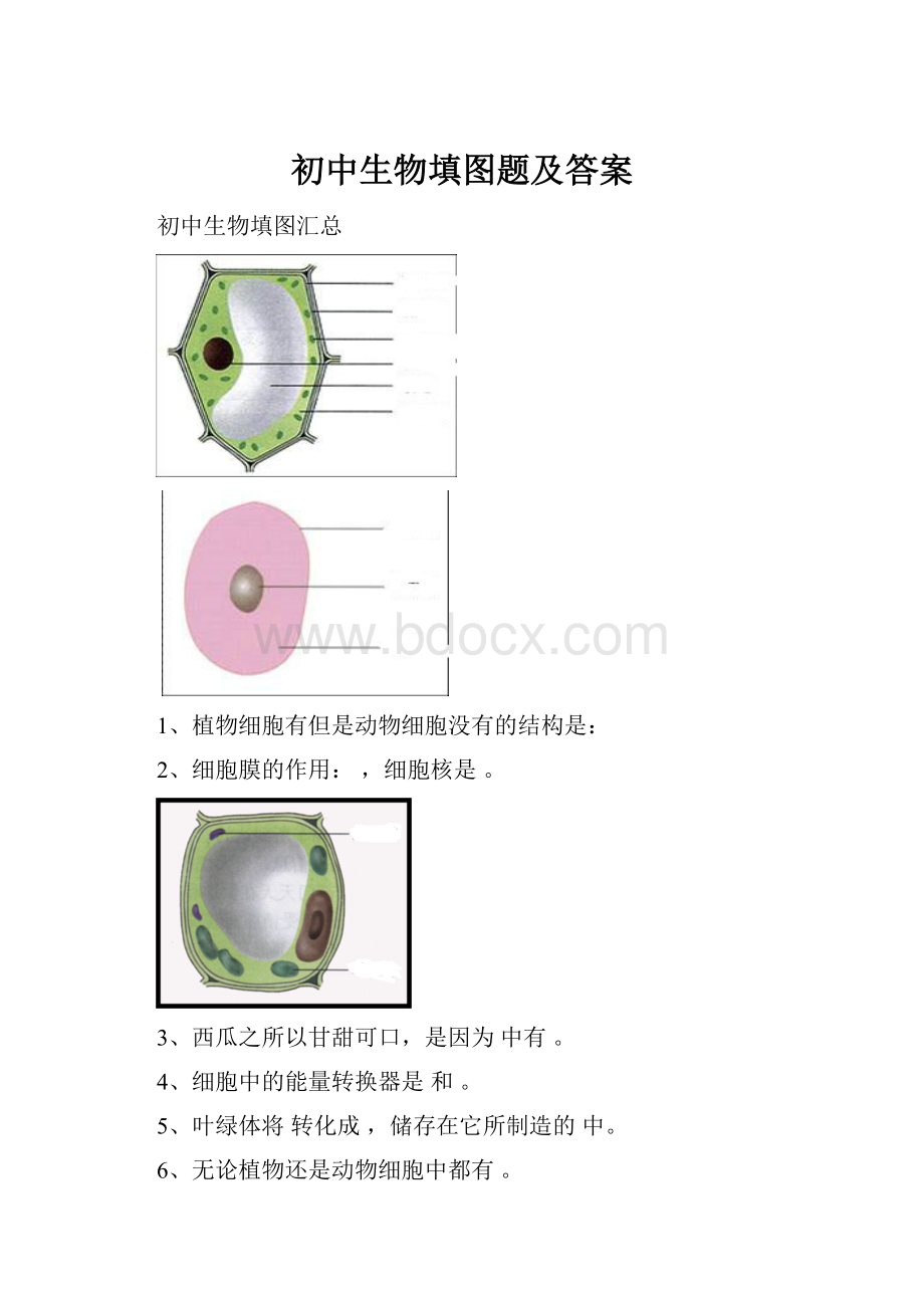 初中生物填图题及答案.docx