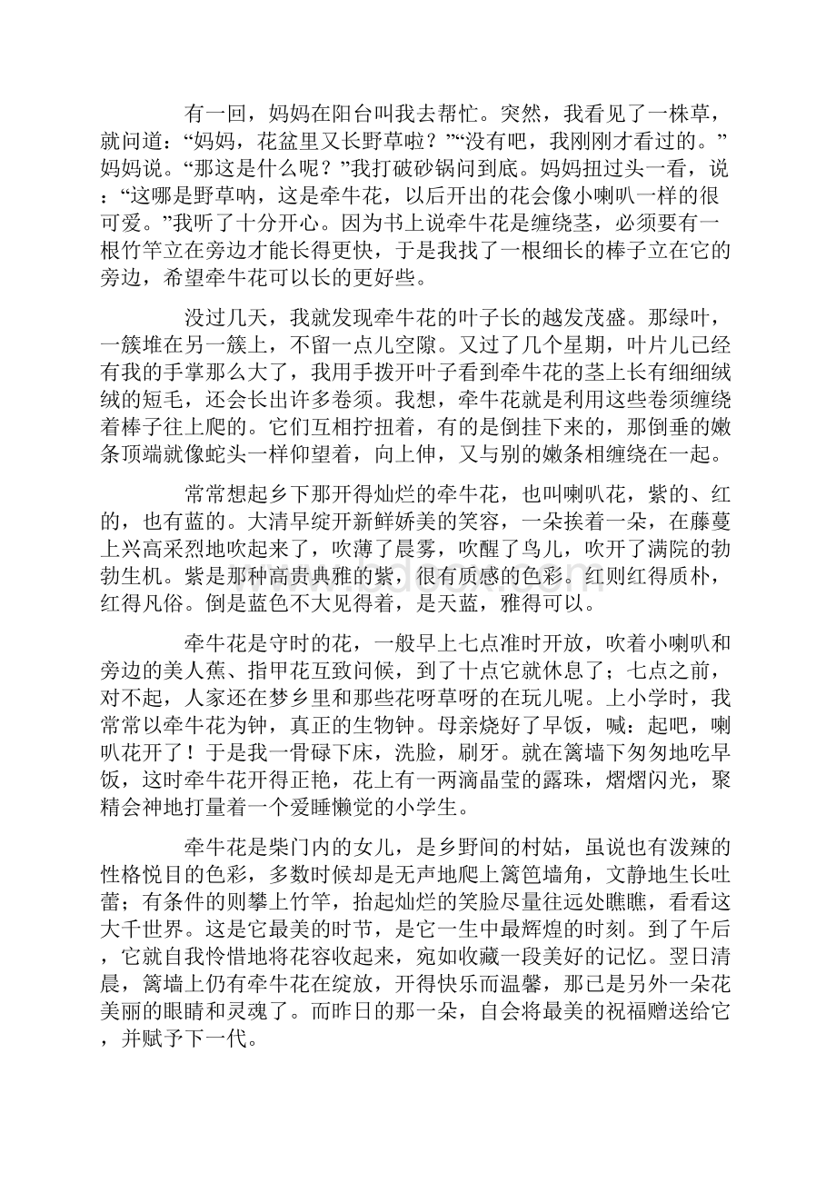 明天就要开学了.docx_第3页