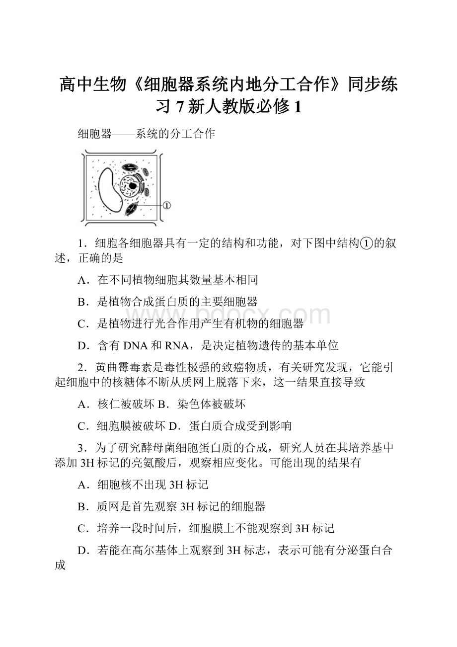 高中生物《细胞器系统内地分工合作》同步练习7新人教版必修1.docx_第1页