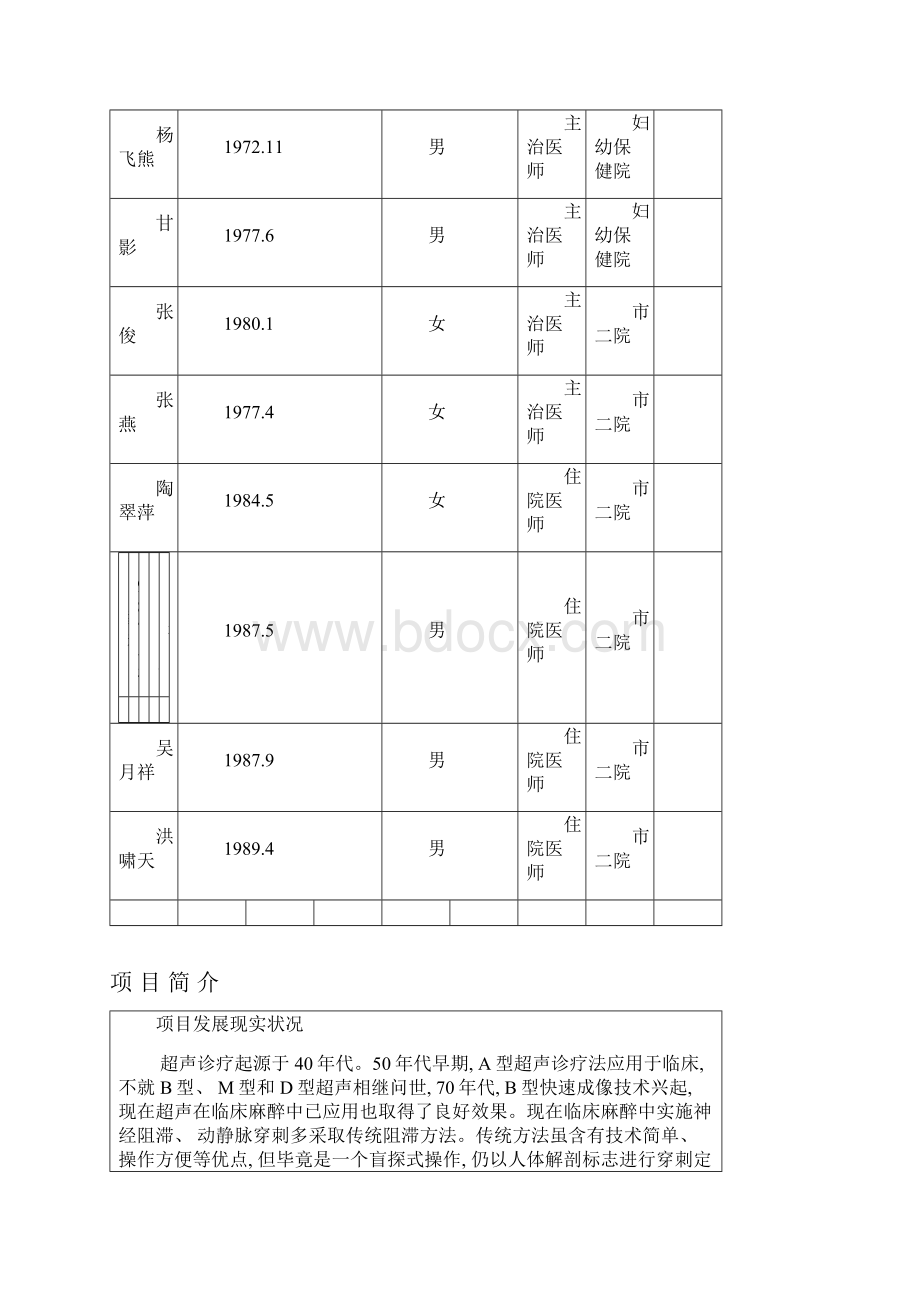 三新项目申请表模板.docx_第3页