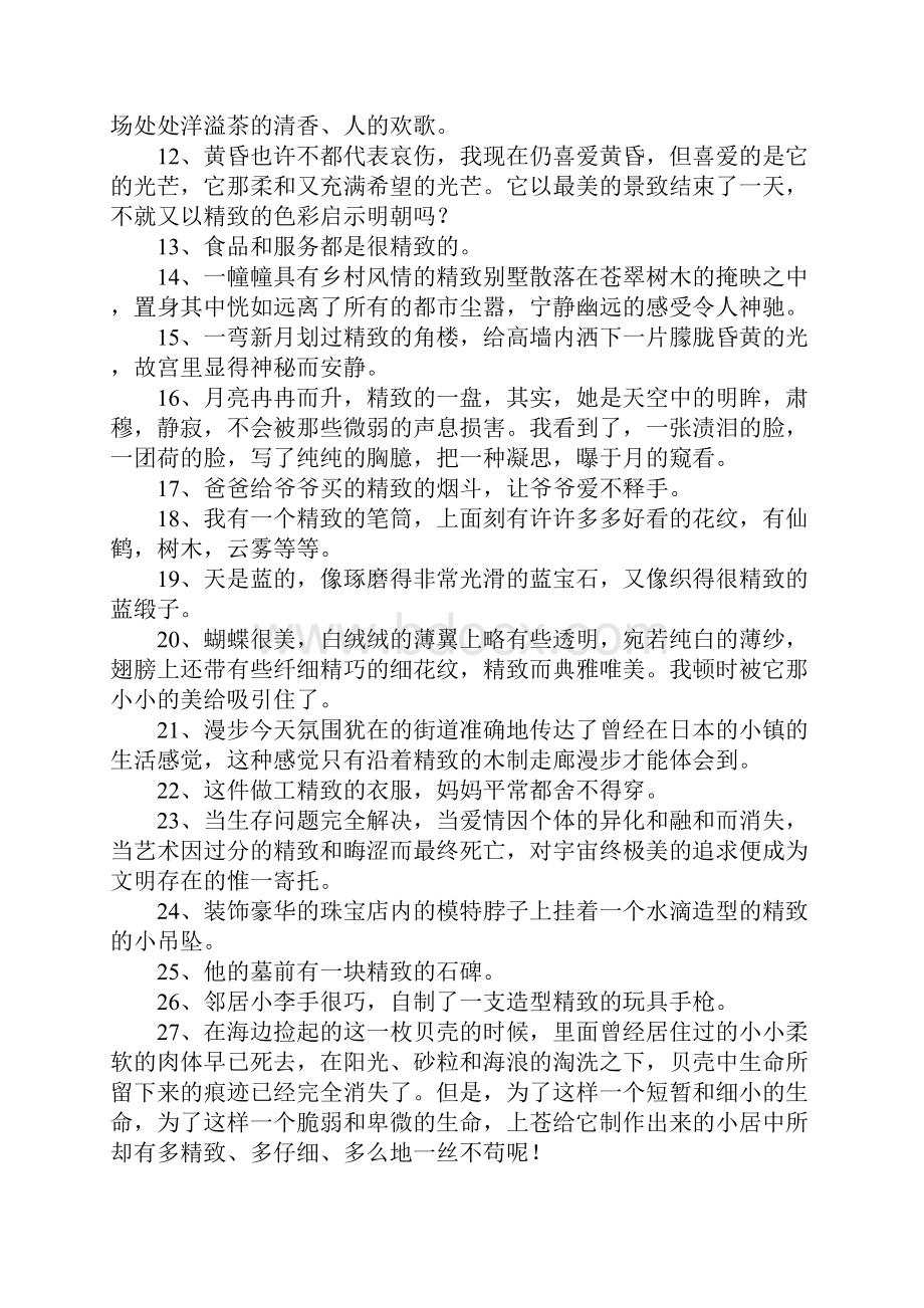 精致的反义词是什么.docx_第2页