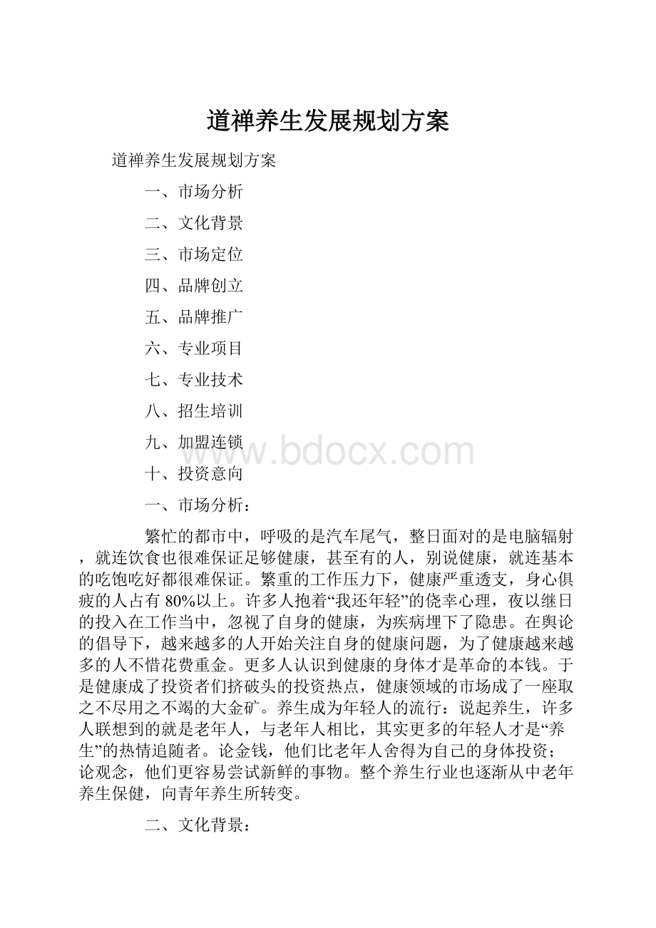 道禅养生发展规划方案.docx