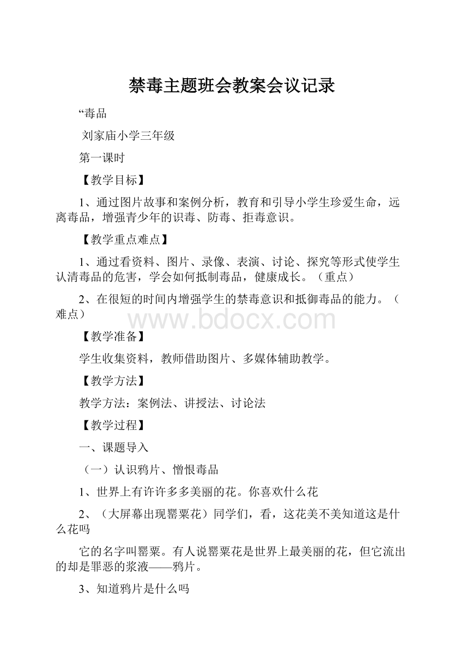 禁毒主题班会教案会议记录.docx