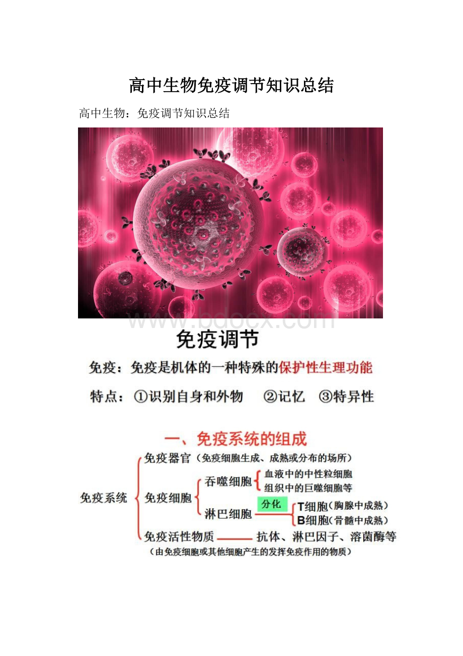 高中生物免疫调节知识总结.docx_第1页