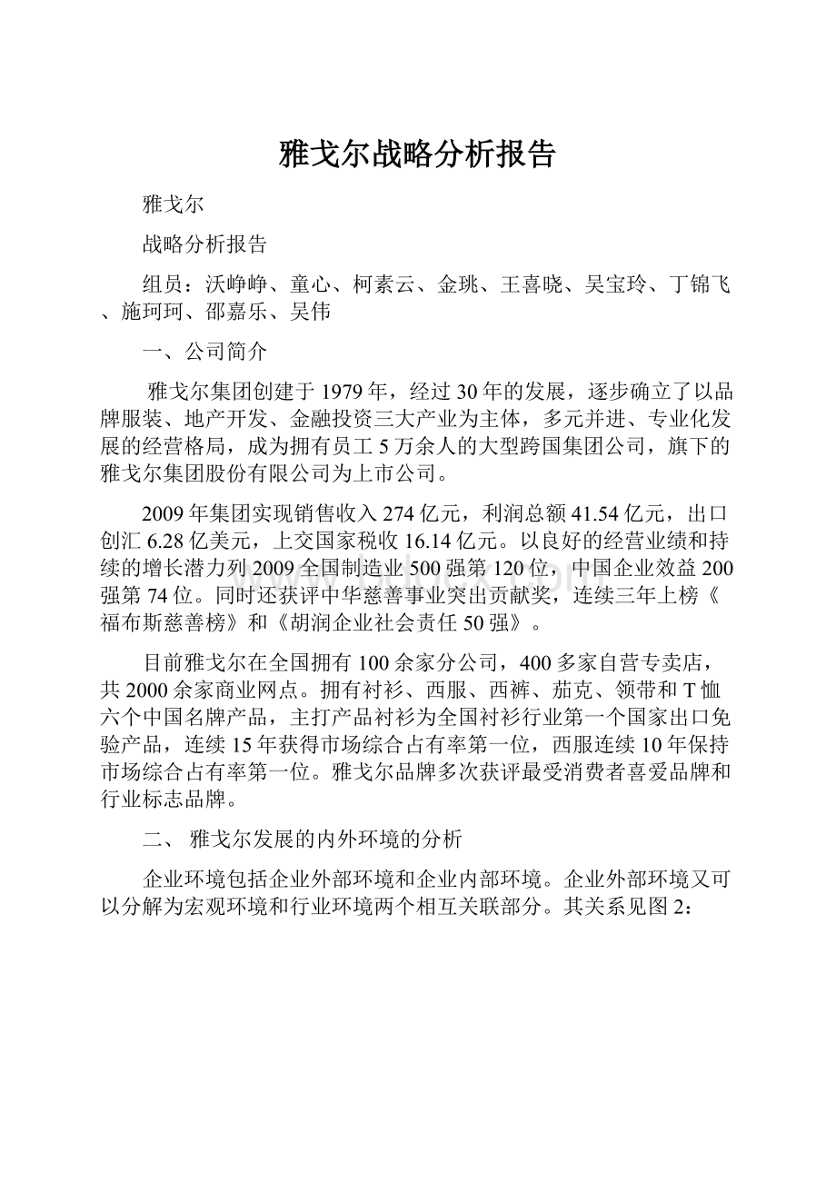 雅戈尔战略分析报告.docx