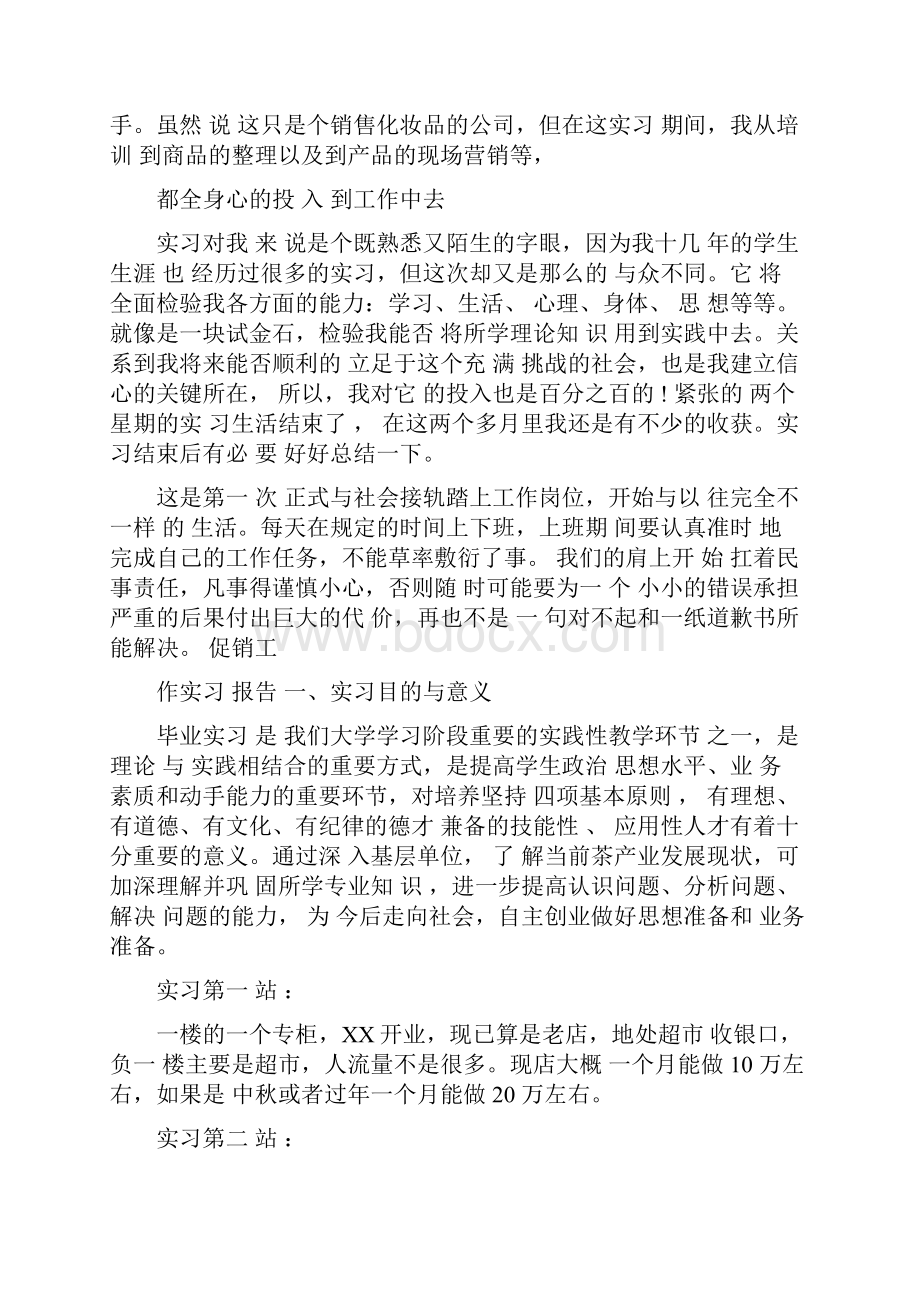 促销工作实习报告.docx_第3页