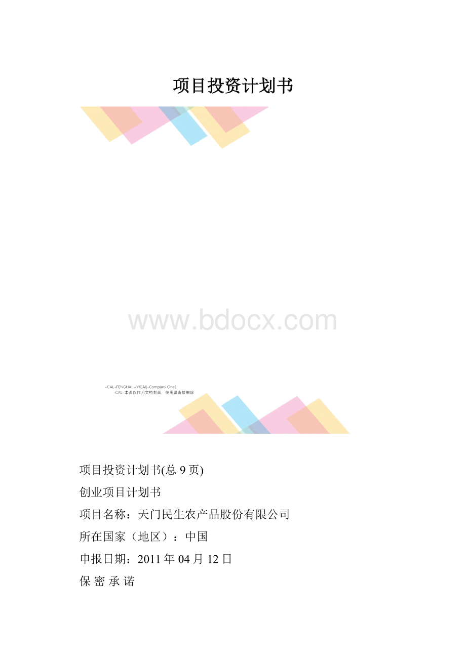 项目投资计划书.docx