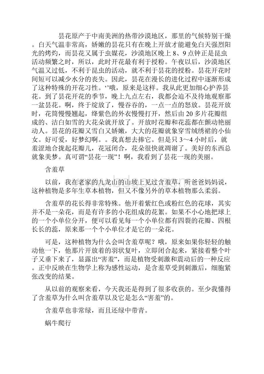 四年级语文上册作文总复习范文.docx_第2页