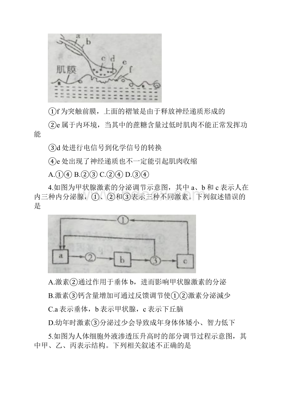 河南省驻马店市高二生物下学期期末考试试题.docx_第2页