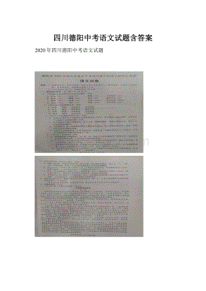 四川德阳中考语文试题含答案.docx