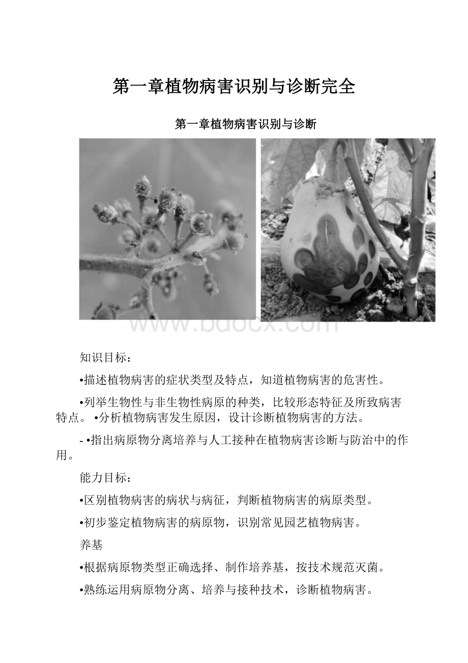 第一章植物病害识别与诊断完全.docx