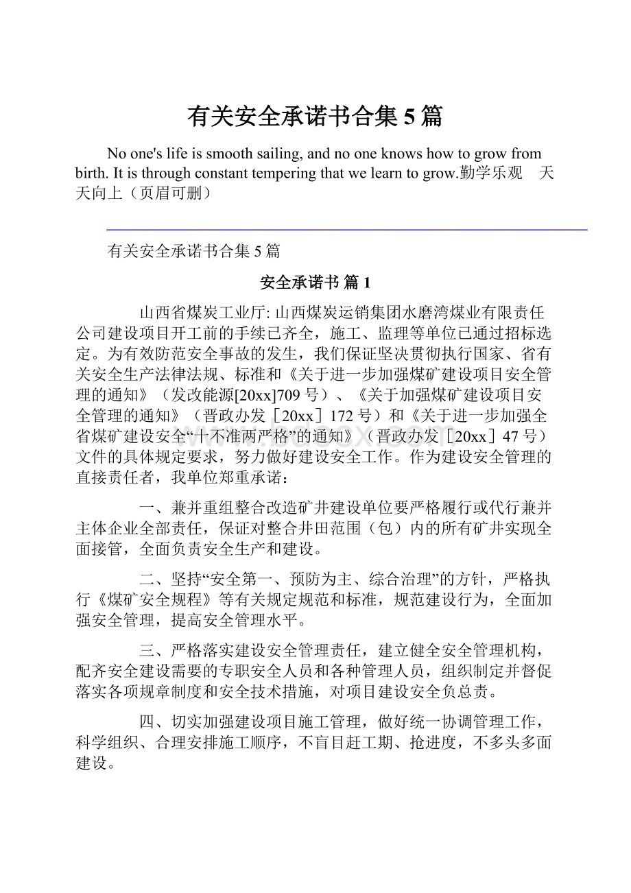 有关安全承诺书合集5篇.docx