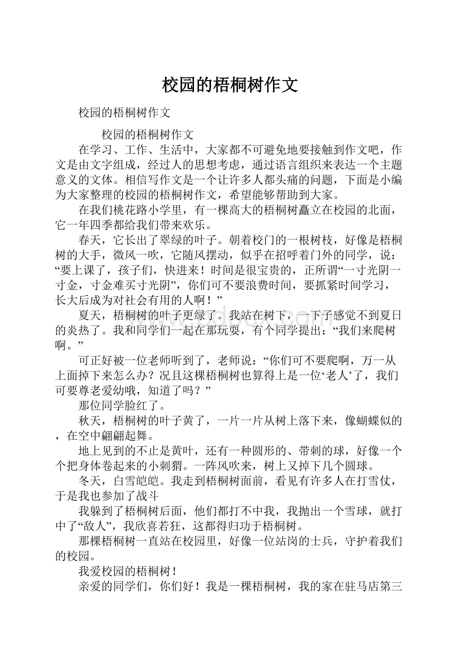 校园的梧桐树作文.docx