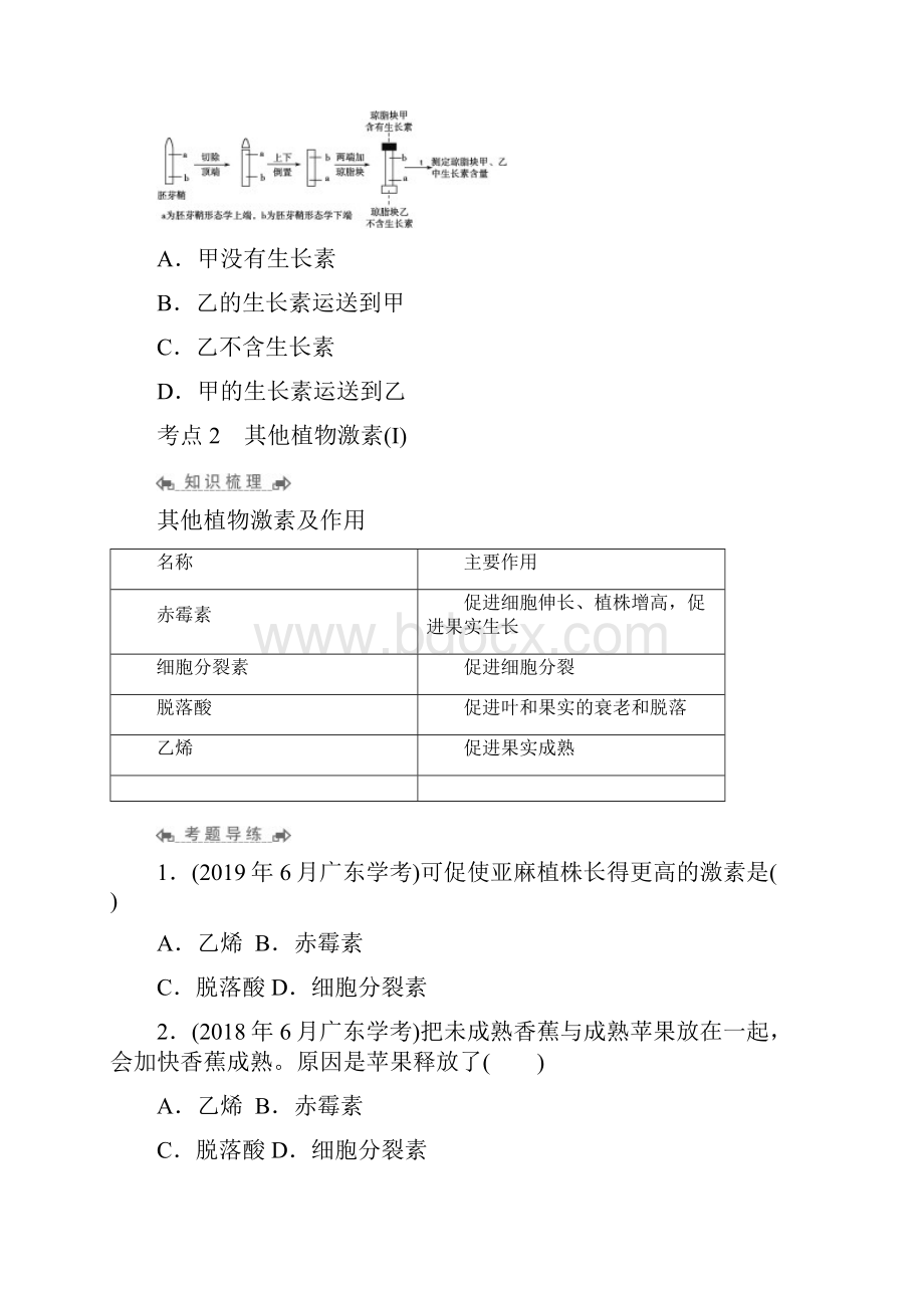 高中生物学业水平测试专题考点复习讲义设计专题13 植物激素调节.docx_第3页