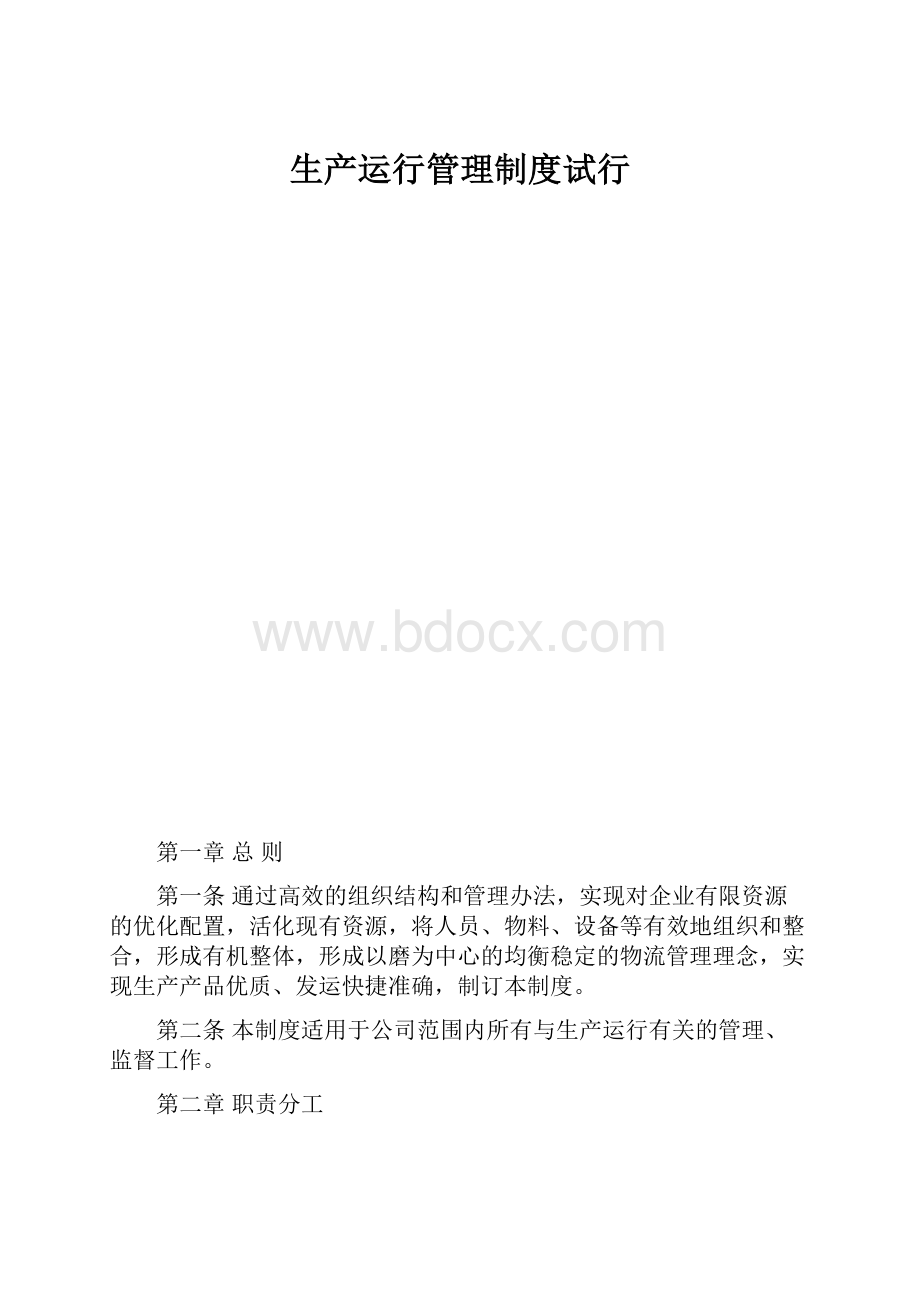 生产运行管理制度试行.docx_第1页