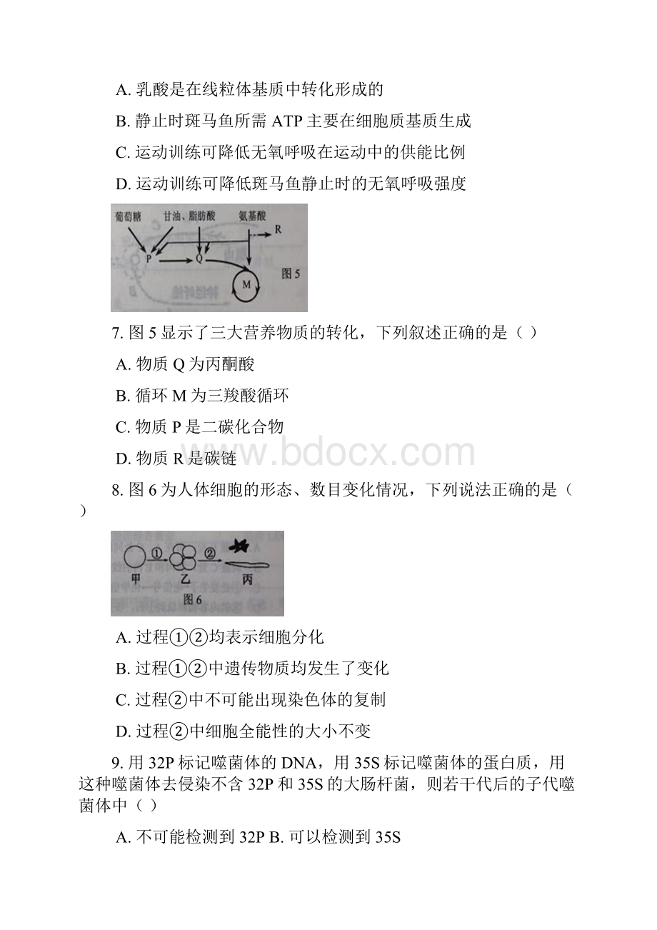 青浦区秋高二高三第一学期期末一模学科质量检测生物试题及答案精校doc.docx_第3页