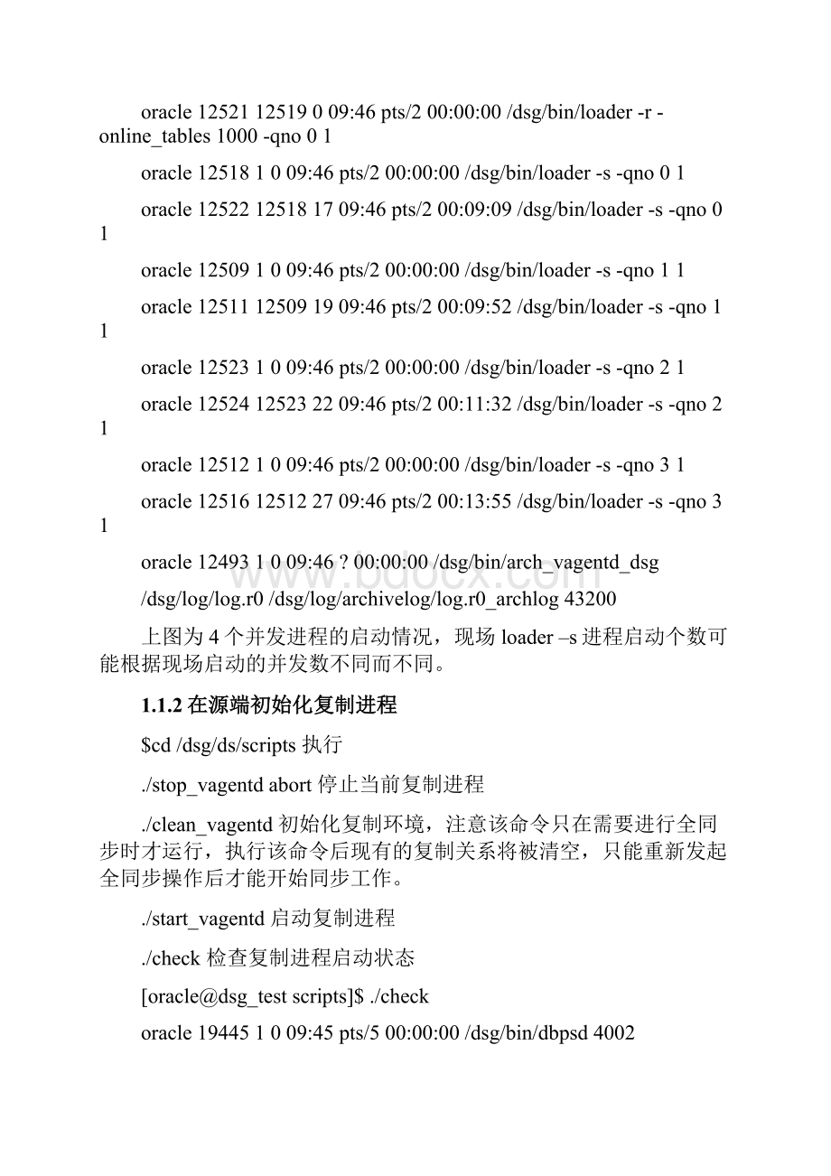 DSGRealSync日常维护手册.docx_第2页