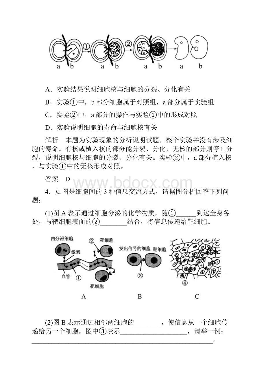 222核酸与细胞核 同步测试 中图版必修一 2.docx_第3页