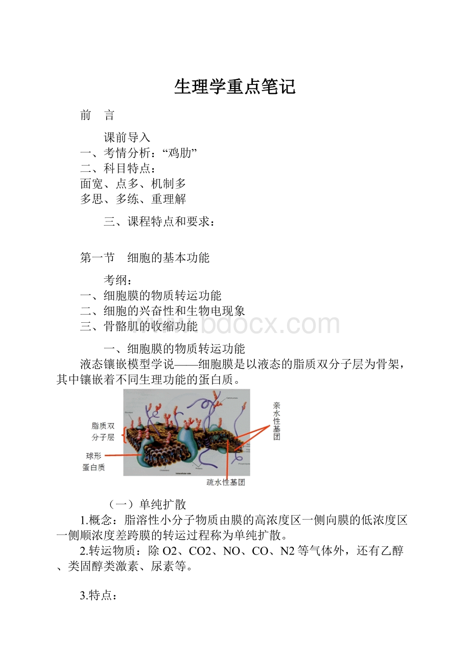 生理学重点笔记.docx