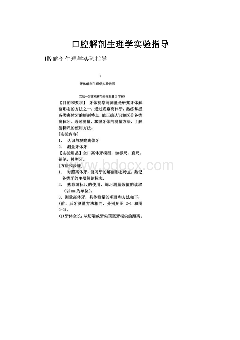 口腔解剖生理学实验指导.docx_第1页