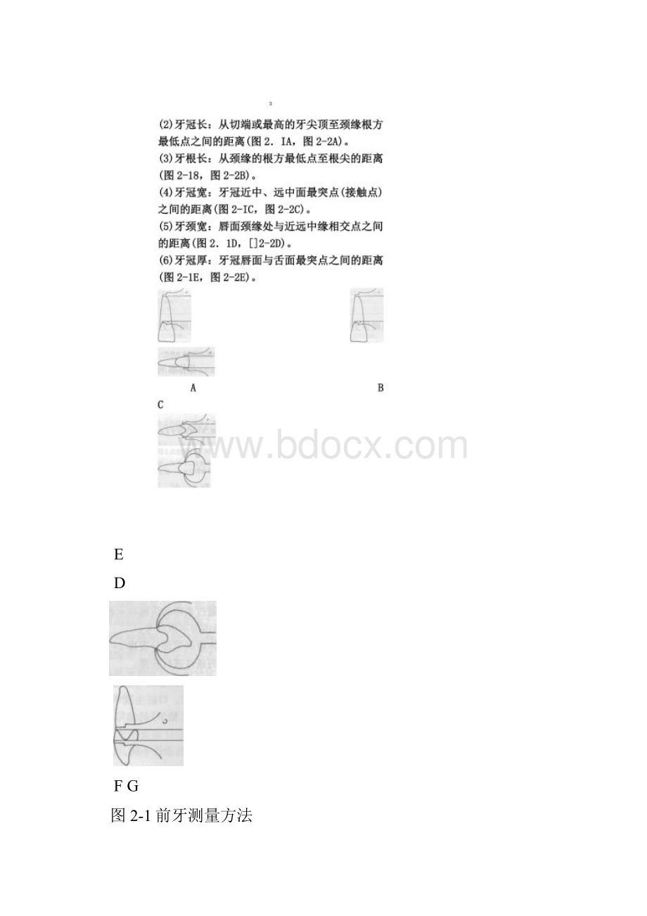 口腔解剖生理学实验指导.docx_第2页
