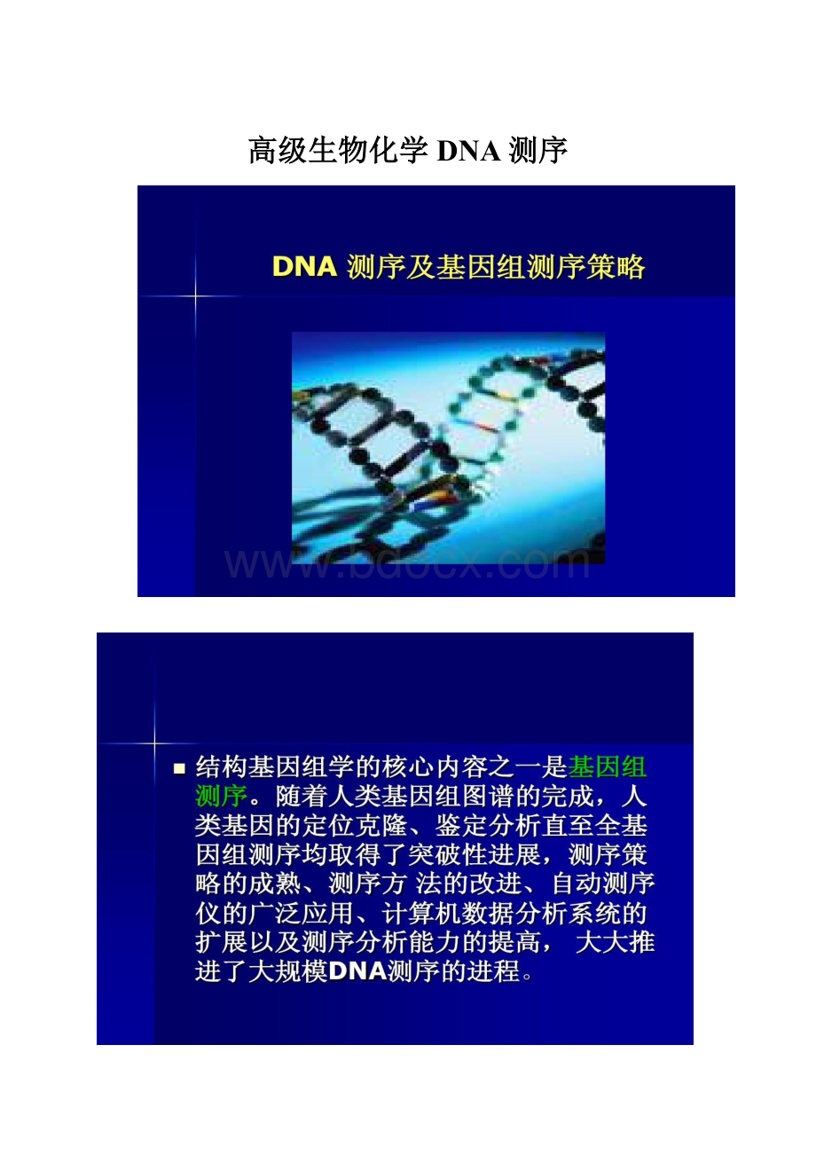 高级生物化学DNA测序.docx_第1页