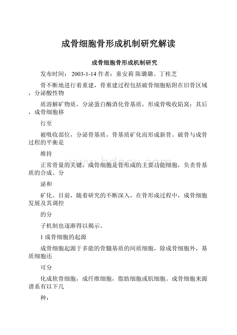 成骨细胞骨形成机制研究解读.docx