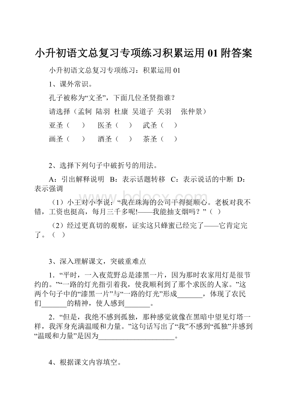 小升初语文总复习专项练习积累运用01附答案.docx