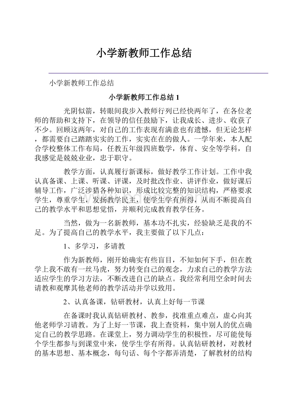 小学新教师工作总结.docx