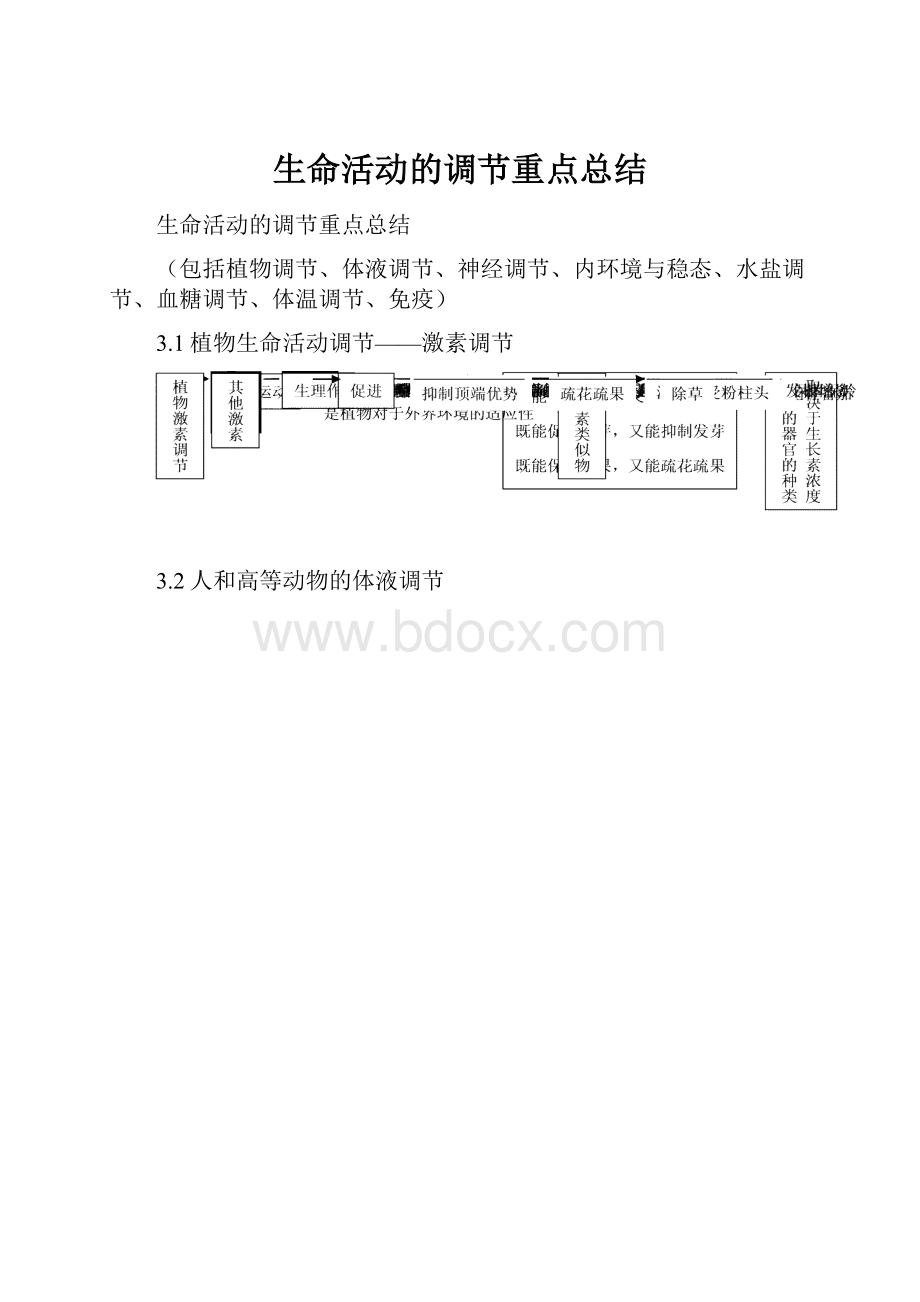 生命活动的调节重点总结.docx