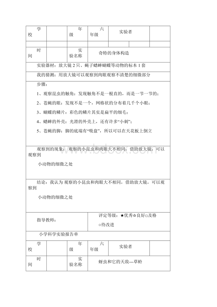 六年级下册科学实验报告 放大镜下的新发现.docx_第3页