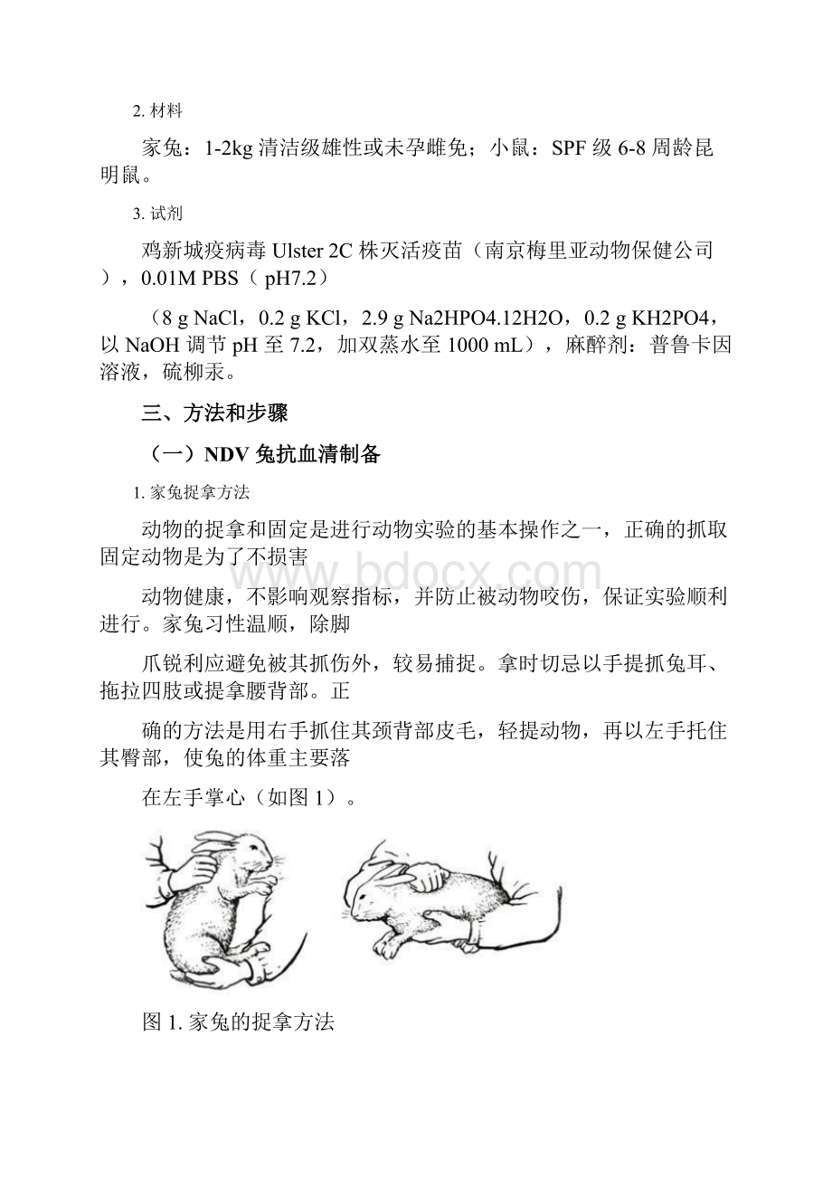 抗血清制备及抗体效价测定.docx_第3页