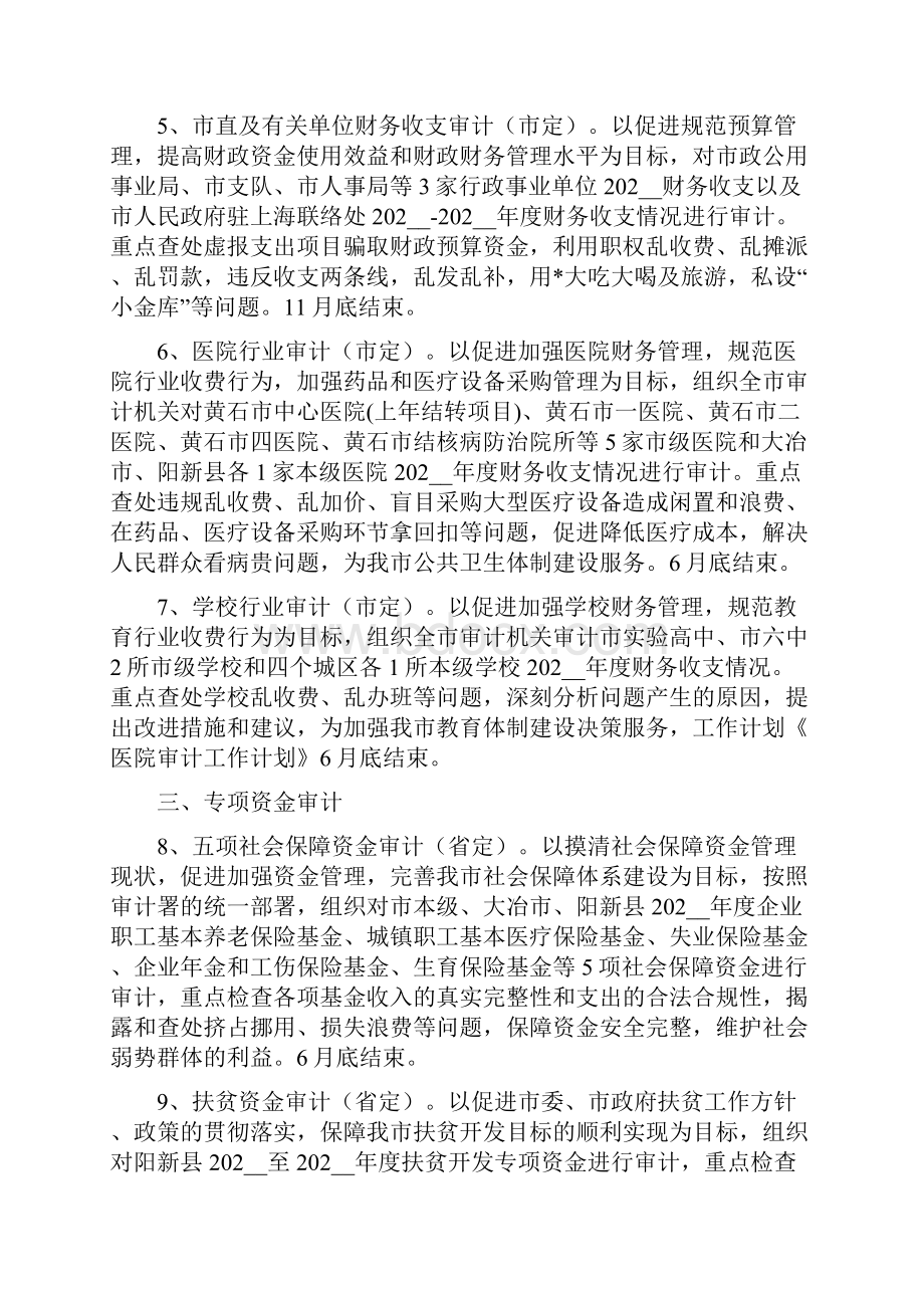 内部审计工作计划表范文三篇.docx_第2页