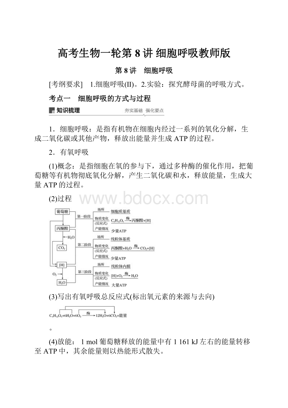 高考生物一轮第8讲 细胞呼吸教师版.docx