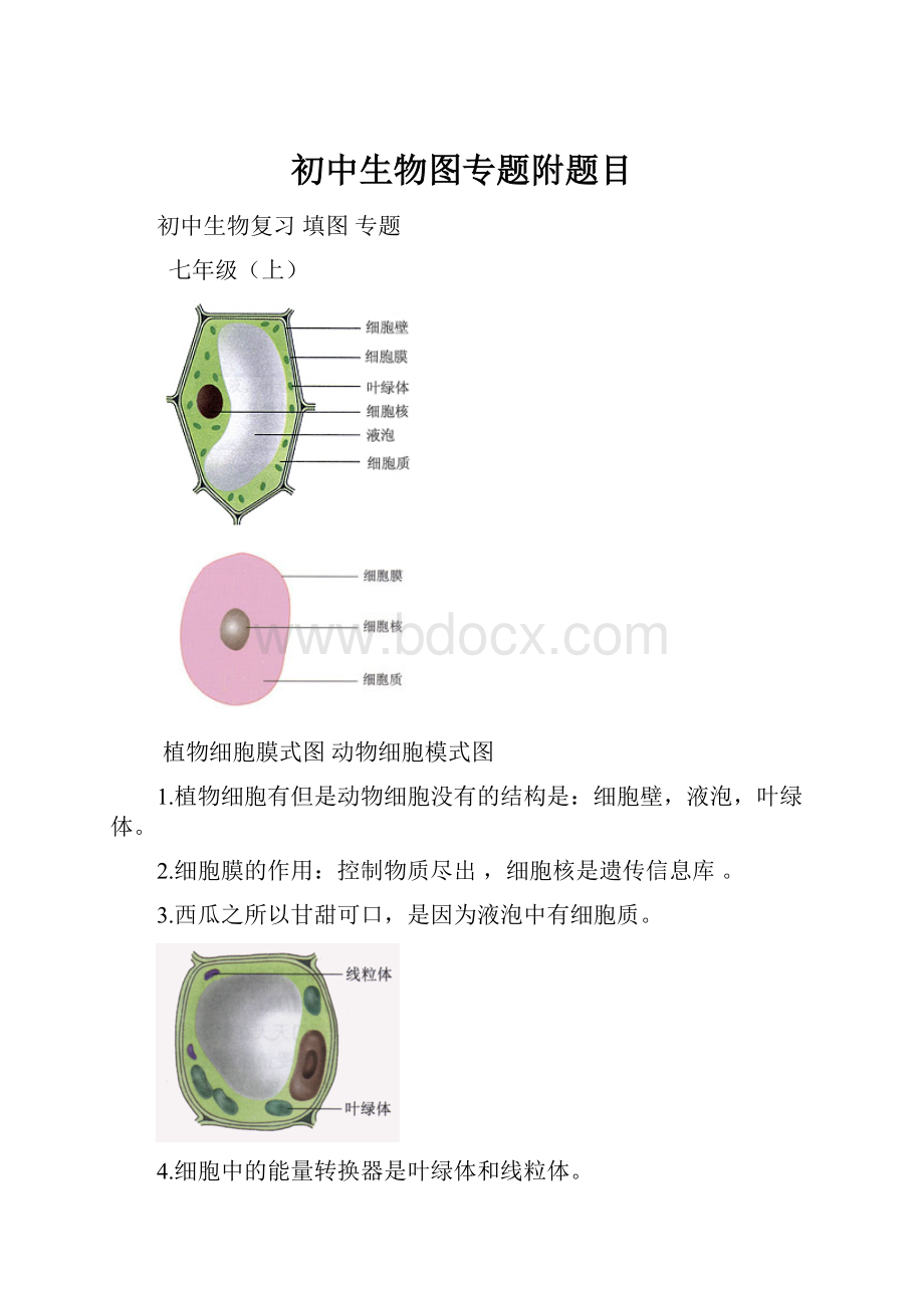 初中生物图专题附题目.docx_第1页