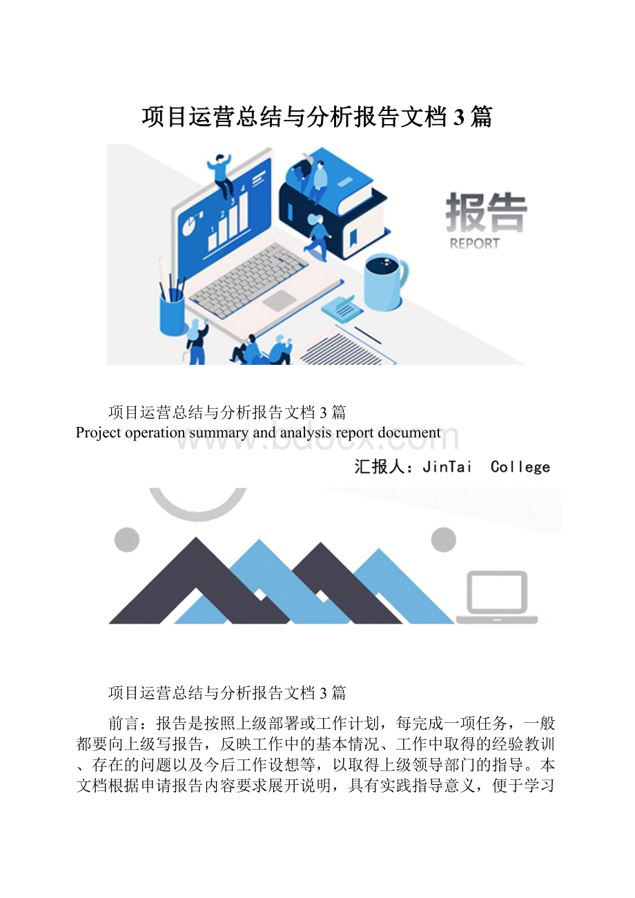 项目运营总结与分析报告文档3篇.docx