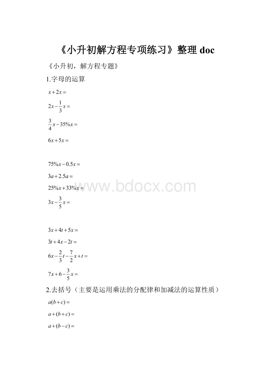 《小升初解方程专项练习》整理doc.docx