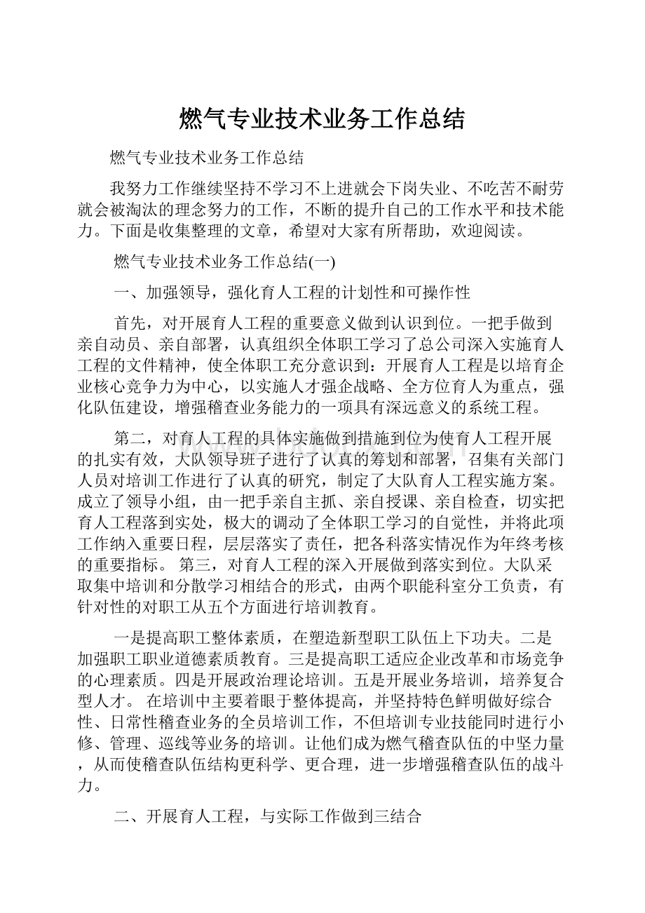 燃气专业技术业务工作总结.docx