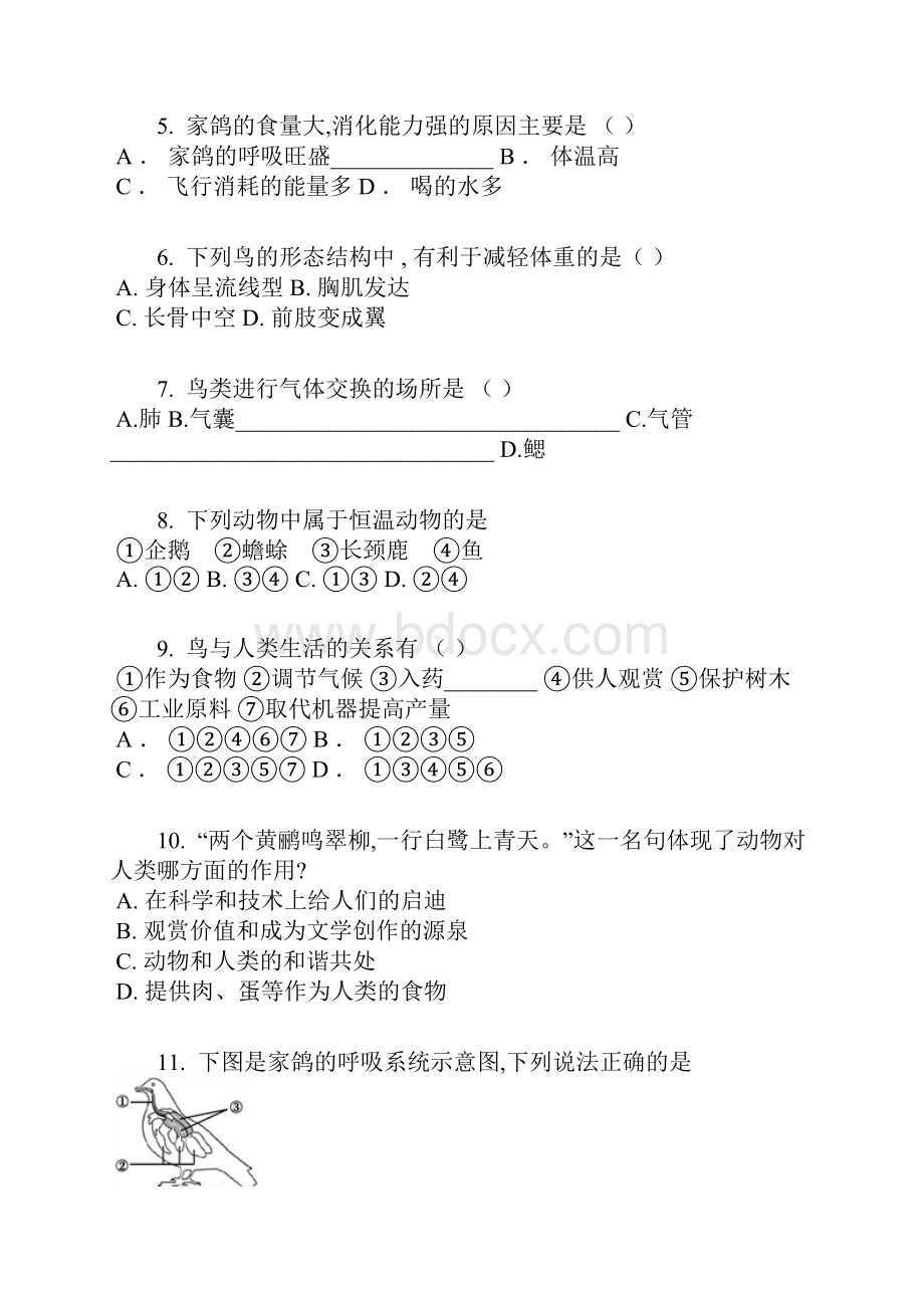 人教版学年八年级上册生物同步多维训练516 鸟含答案及解析.docx_第2页