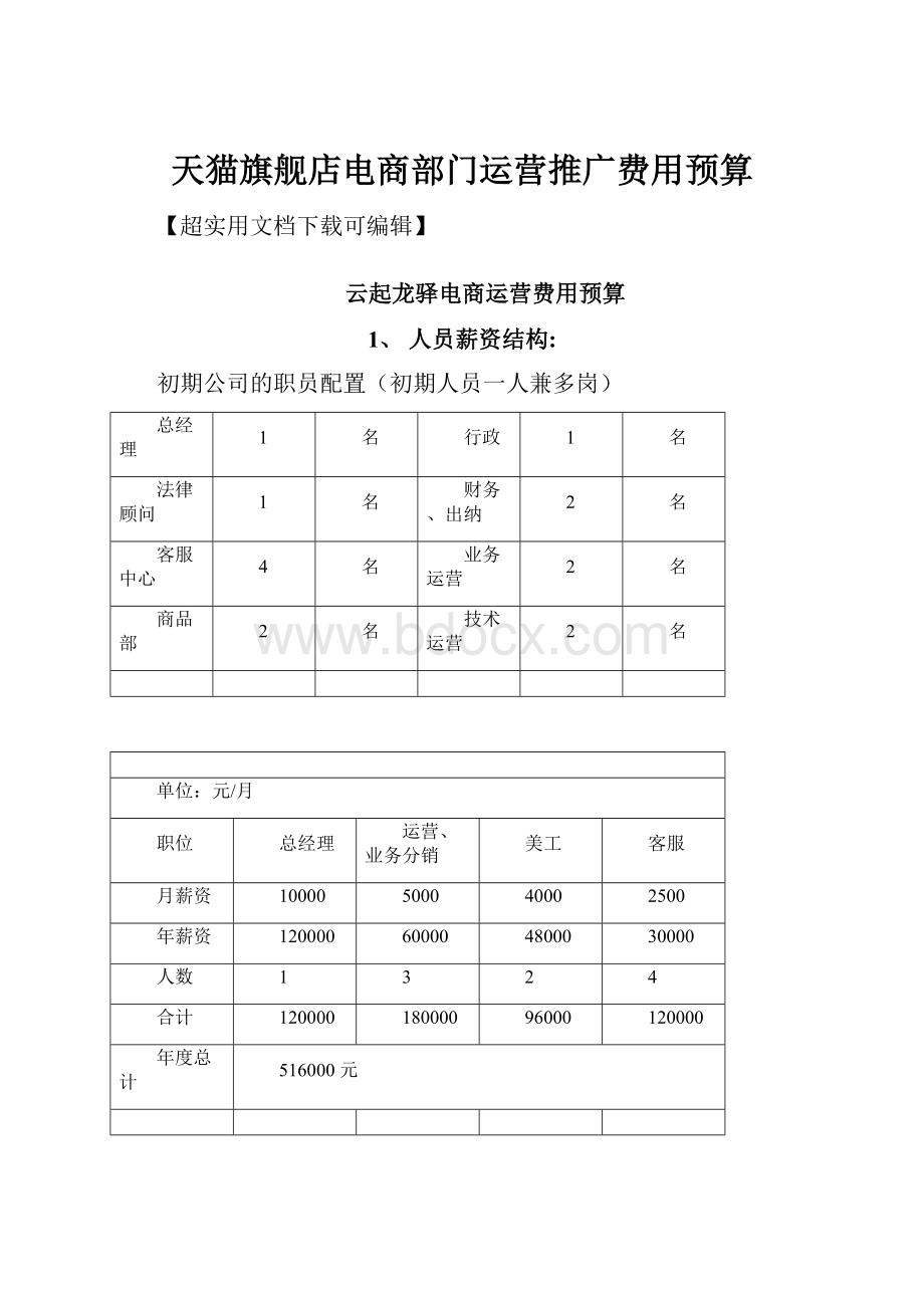 天猫旗舰店电商部门运营推广费用预算.docx_第1页