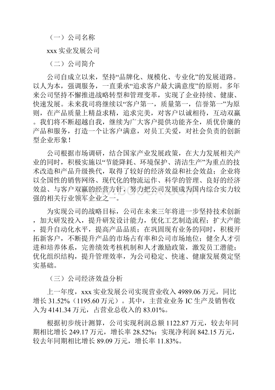 IC项目可行性研究报告.docx_第2页