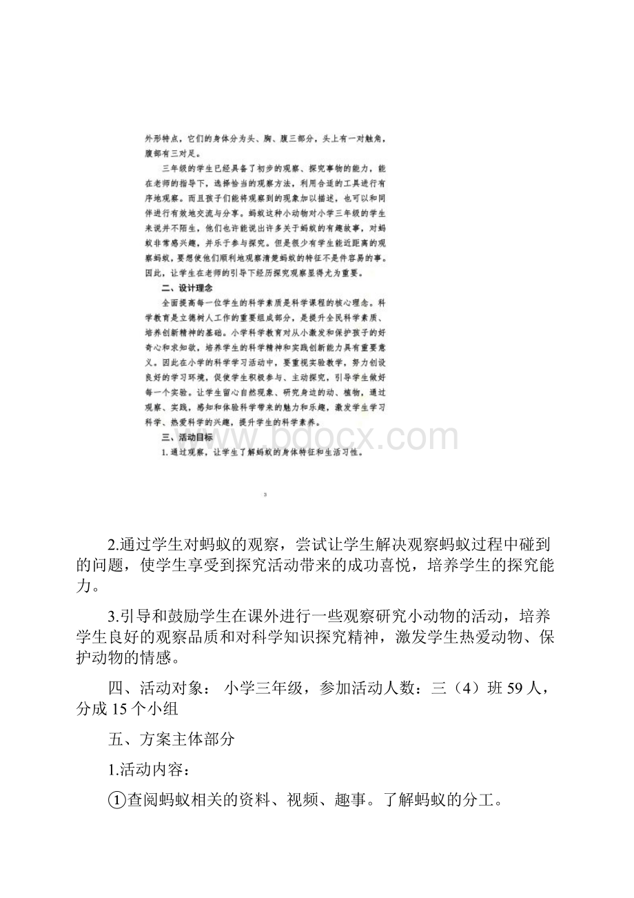 观察《蚂蚁》教育教学方案.docx_第2页