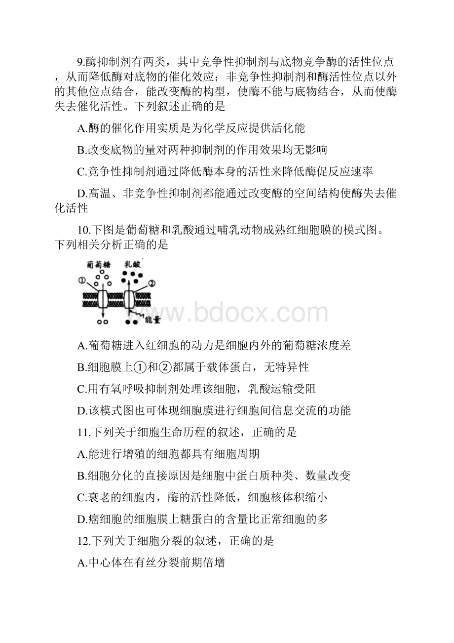 山东省潍坊市届高三上学期期末考试生物试题含答案.docx_第3页