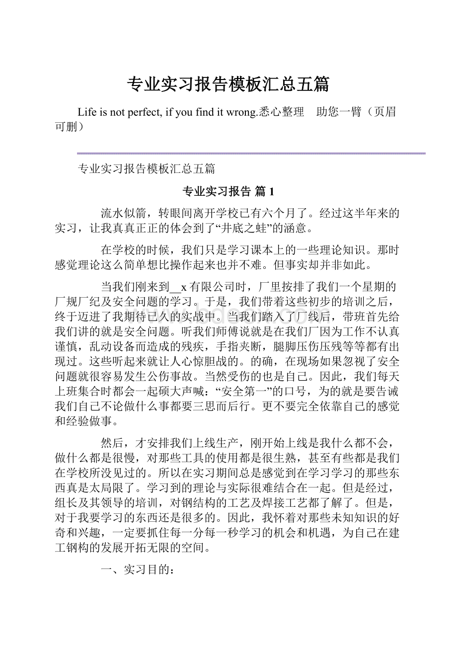 专业实习报告模板汇总五篇.docx