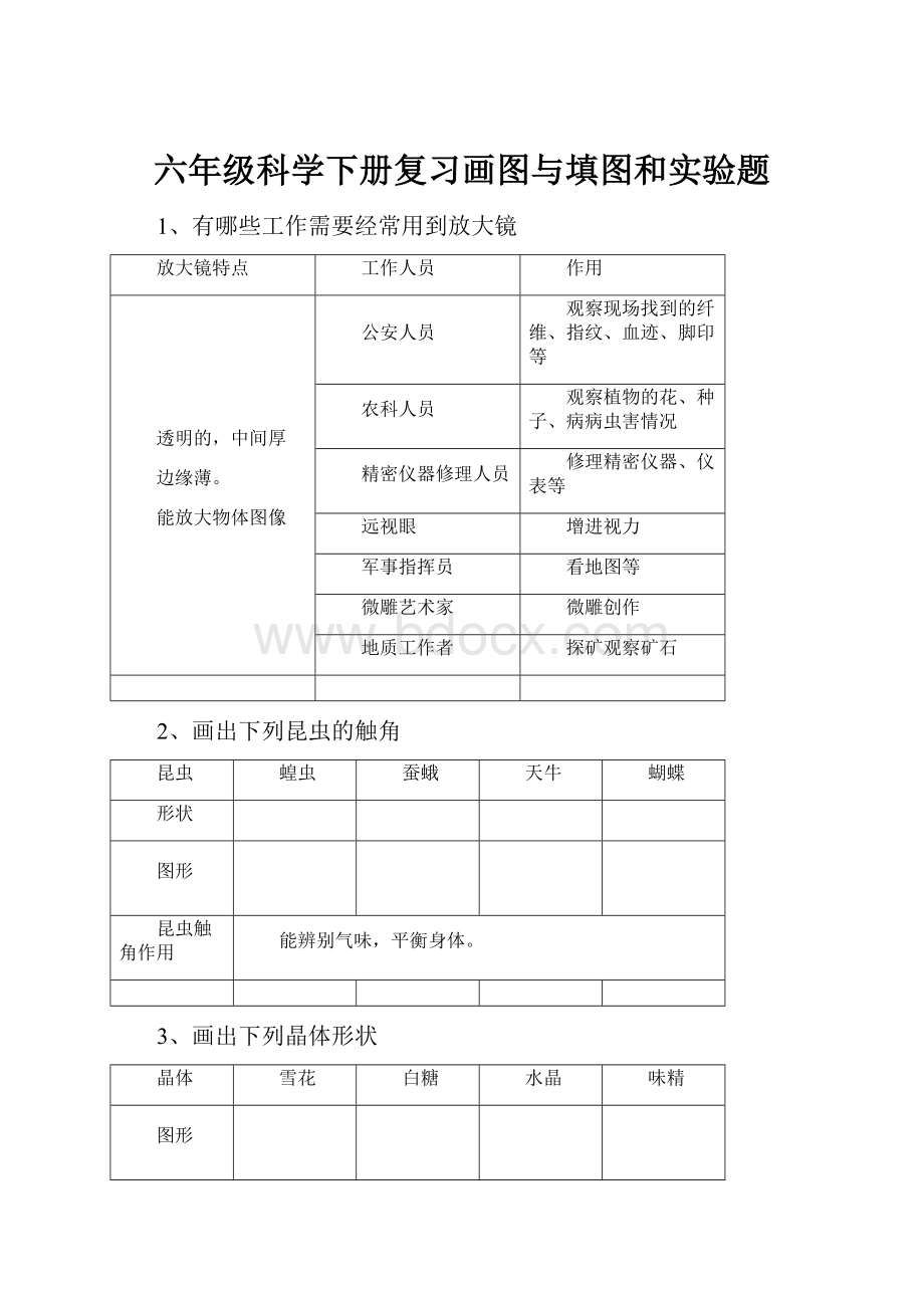 六年级科学下册复习画图与填图和实验题.docx