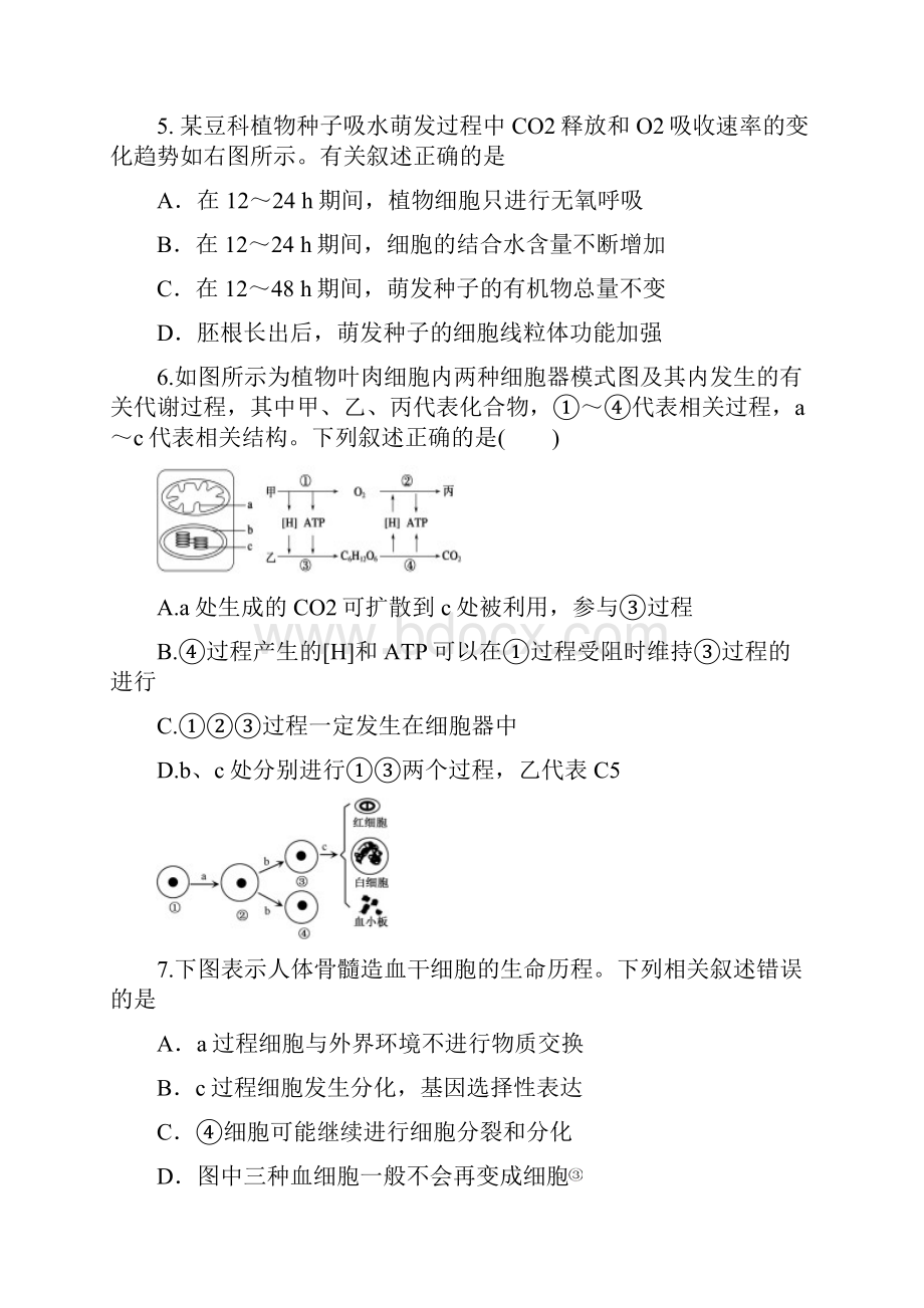 高三高考模拟生物试题 含答案.docx_第3页